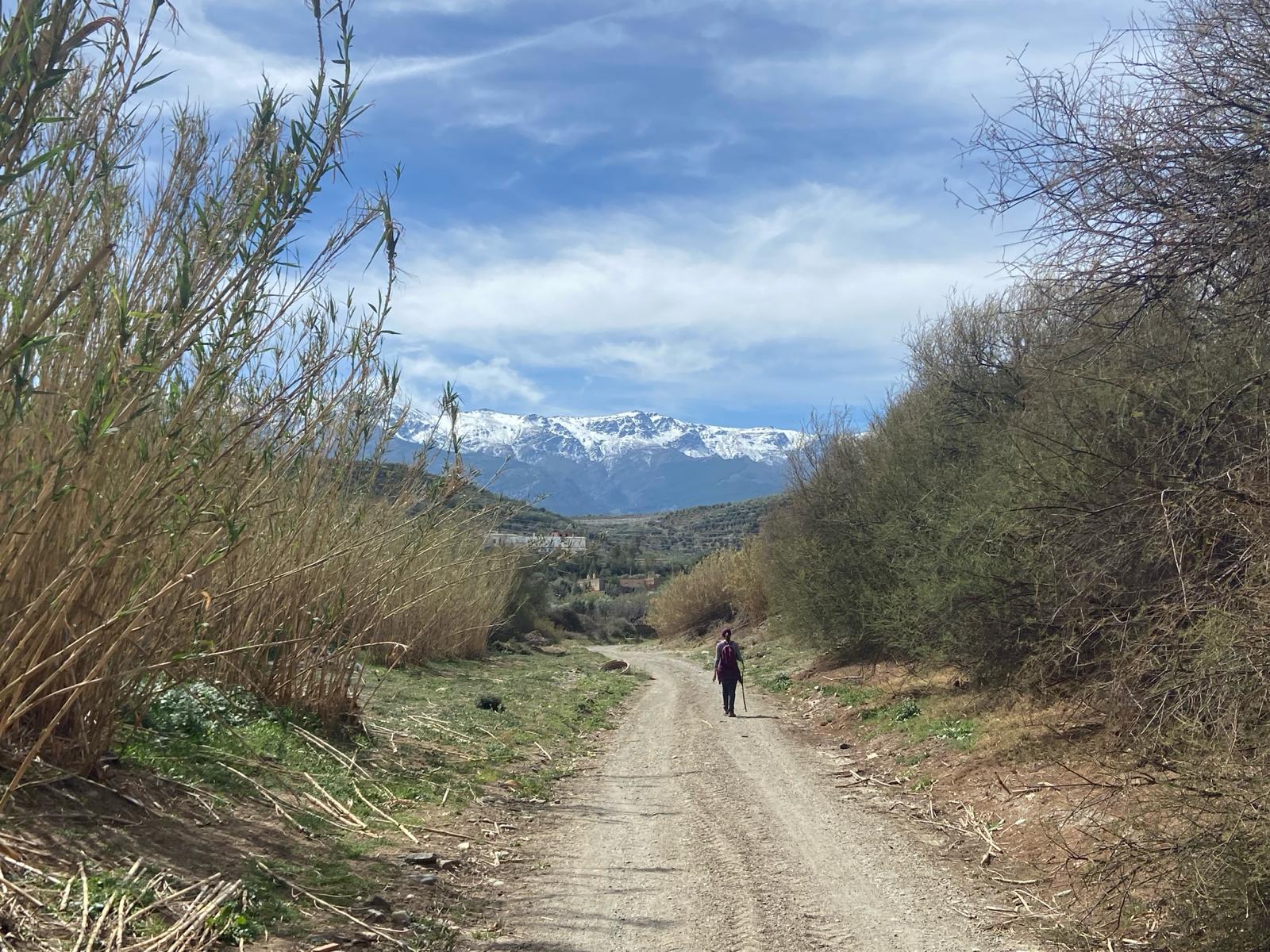 Ruta del cerezo en flor. Abla.