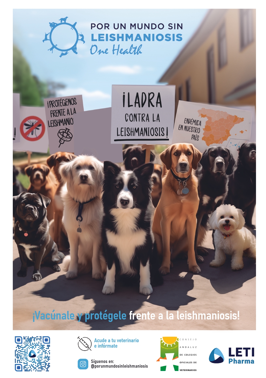 campaña leishmaniosis