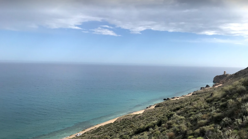 mojacar playa canina