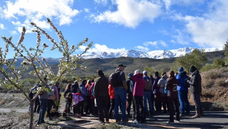 almendro en flor. rutas