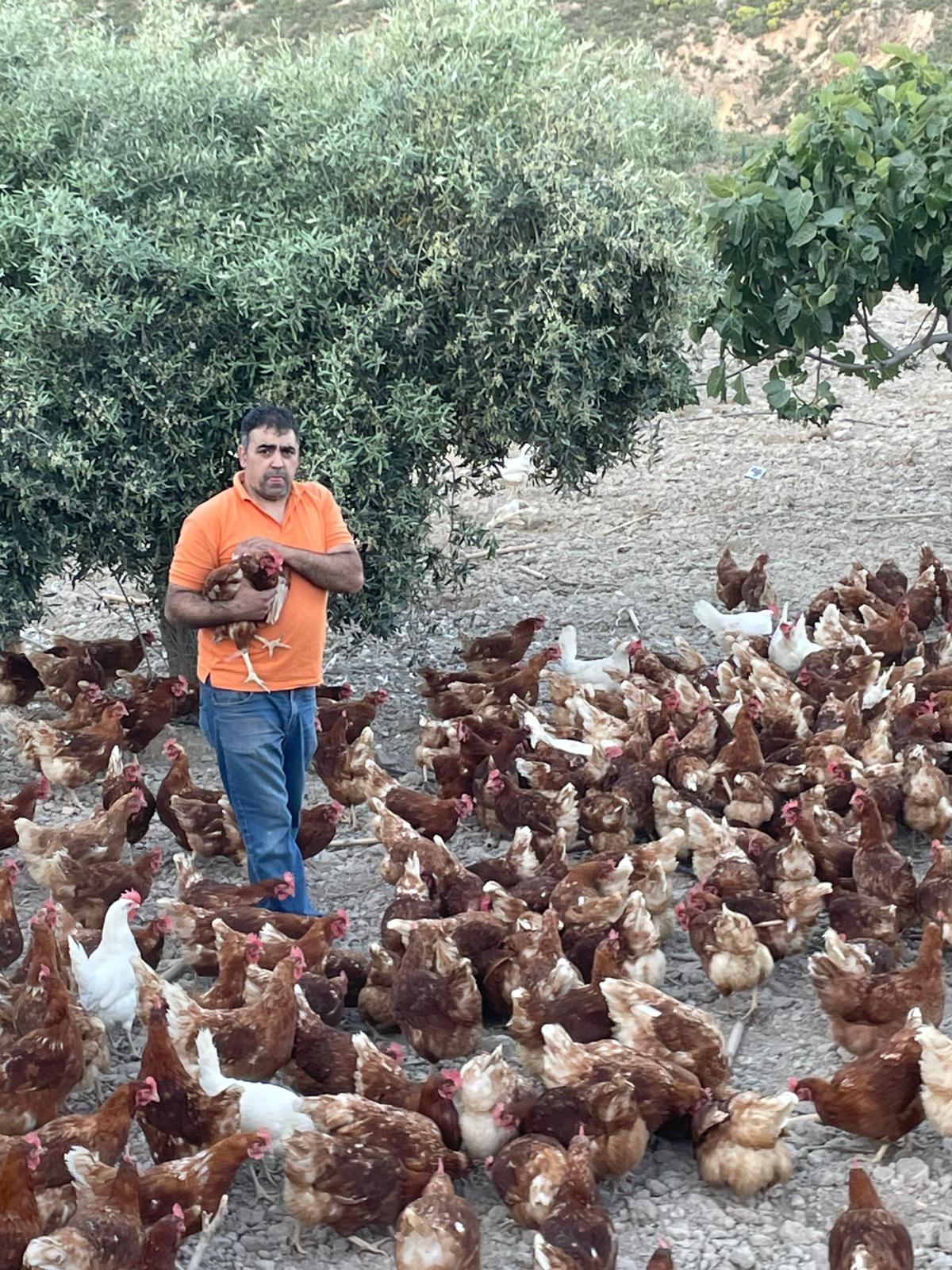 victor compan almócita