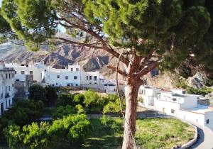 Vistas de Canjáyar. Foto: www.canjayar.es