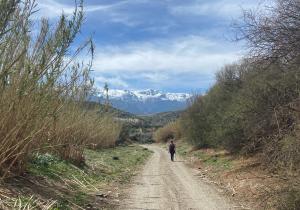 Ruta del cerezo en flor. Abla.