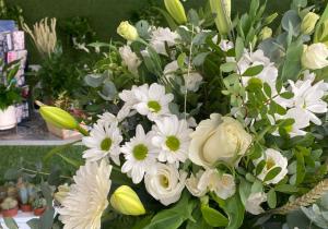 FLORISTERIA DIVINA PASTORA