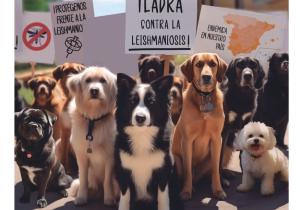 campaña leishmaniosis