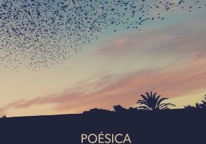 poésica