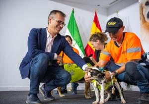 urdiales. campaña evitar abandono animales