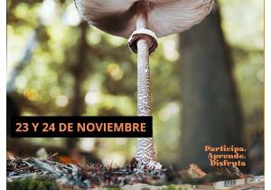 jornadas micológicas sierro