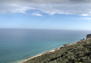 mojacar playa canina