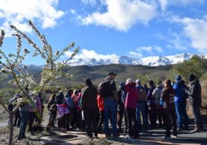 almendro en flor. rutas