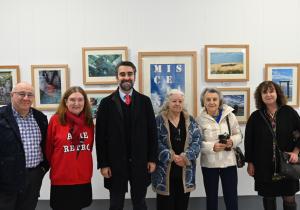 miscelanea desencuadre