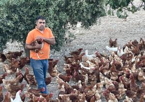 victor compan almócita