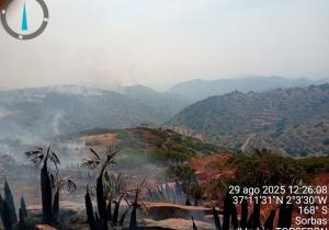 infoca incendio lubrín