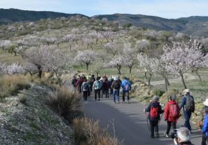 rutas almendro en flor