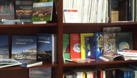 Instituto de Estudios Almerienses (IEA). Colecciones sobre la historia de Almería. 